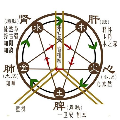 土木火金水|金木水火土五行的本质是什么？